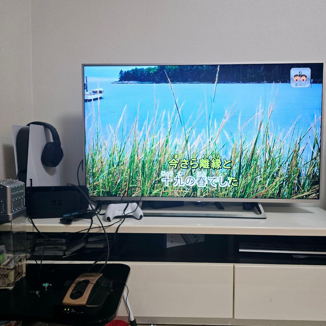 オンステージ パーソナルカラオケ PK-501WT 内蔵500曲