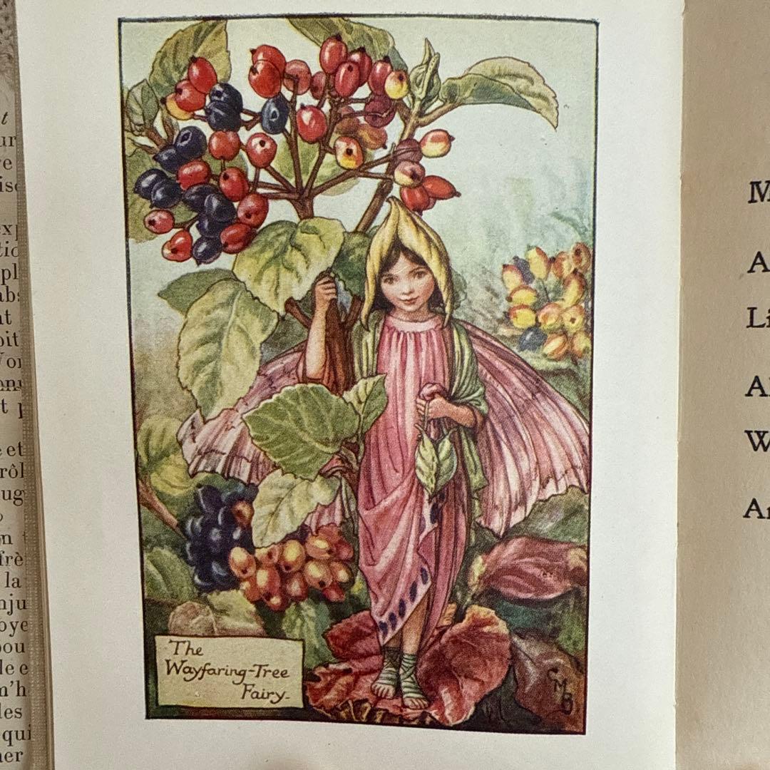 稀少アンティーク愛らしい妖精達の挿絵イギリス絵本　洋書　古書ジャンクジャーナルに