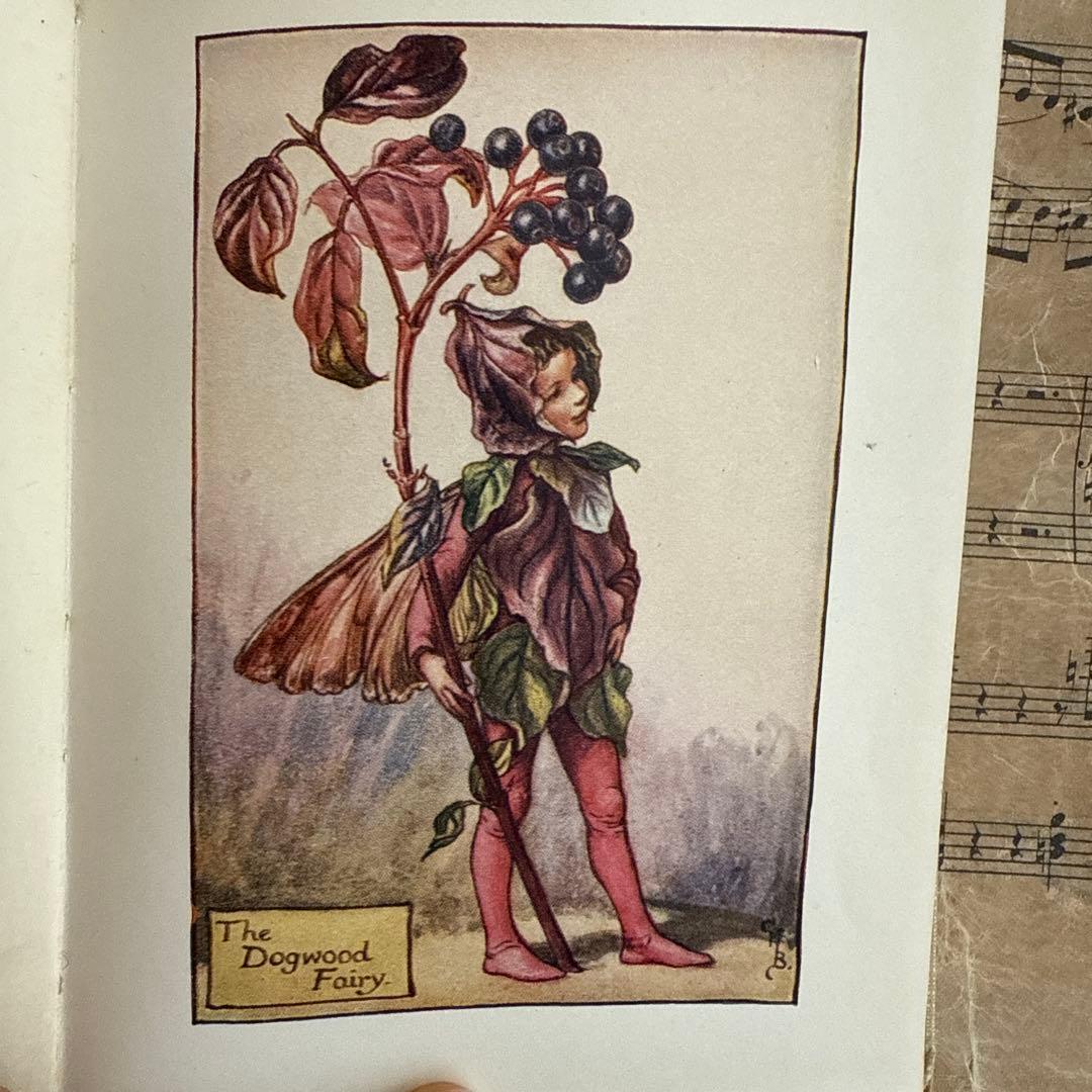 稀少アンティーク愛らしい妖精達の挿絵イギリス絵本　洋書　古書ジャンクジャーナルに
