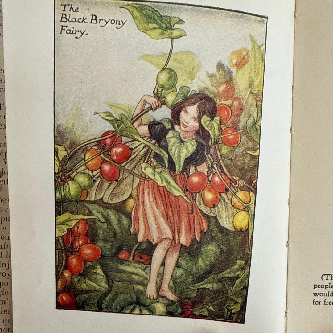 稀少アンティーク愛らしい妖精達の挿絵イギリス絵本　洋書　古書ジャンクジャーナルに