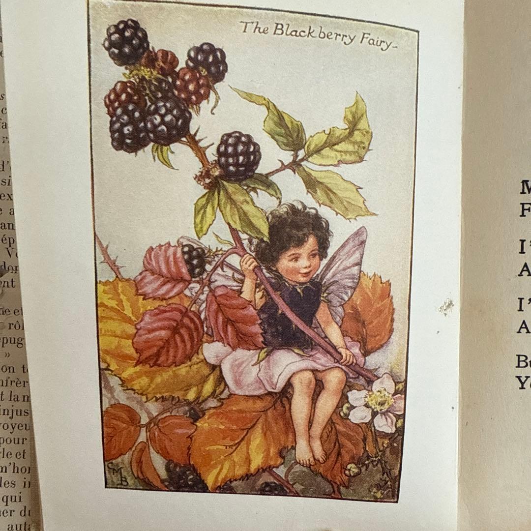 稀少アンティーク愛らしい妖精達の挿絵イギリス絵本　洋書　古書ジャンクジャーナルに