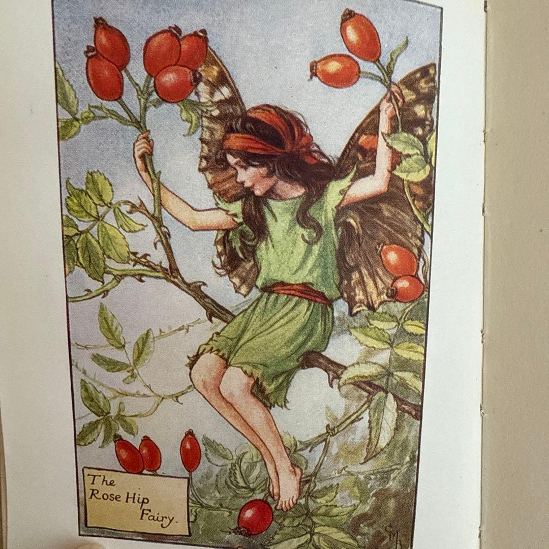 稀少アンティーク愛らしい妖精達の挿絵イギリス絵本　洋書　古書ジャンクジャーナルに