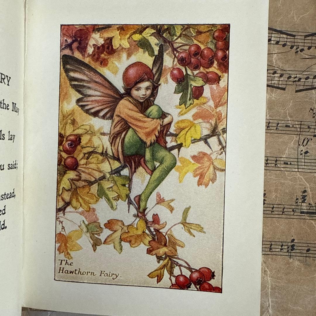 稀少アンティーク愛らしい妖精達の挿絵イギリス絵本　洋書　古書ジャンクジャーナルに