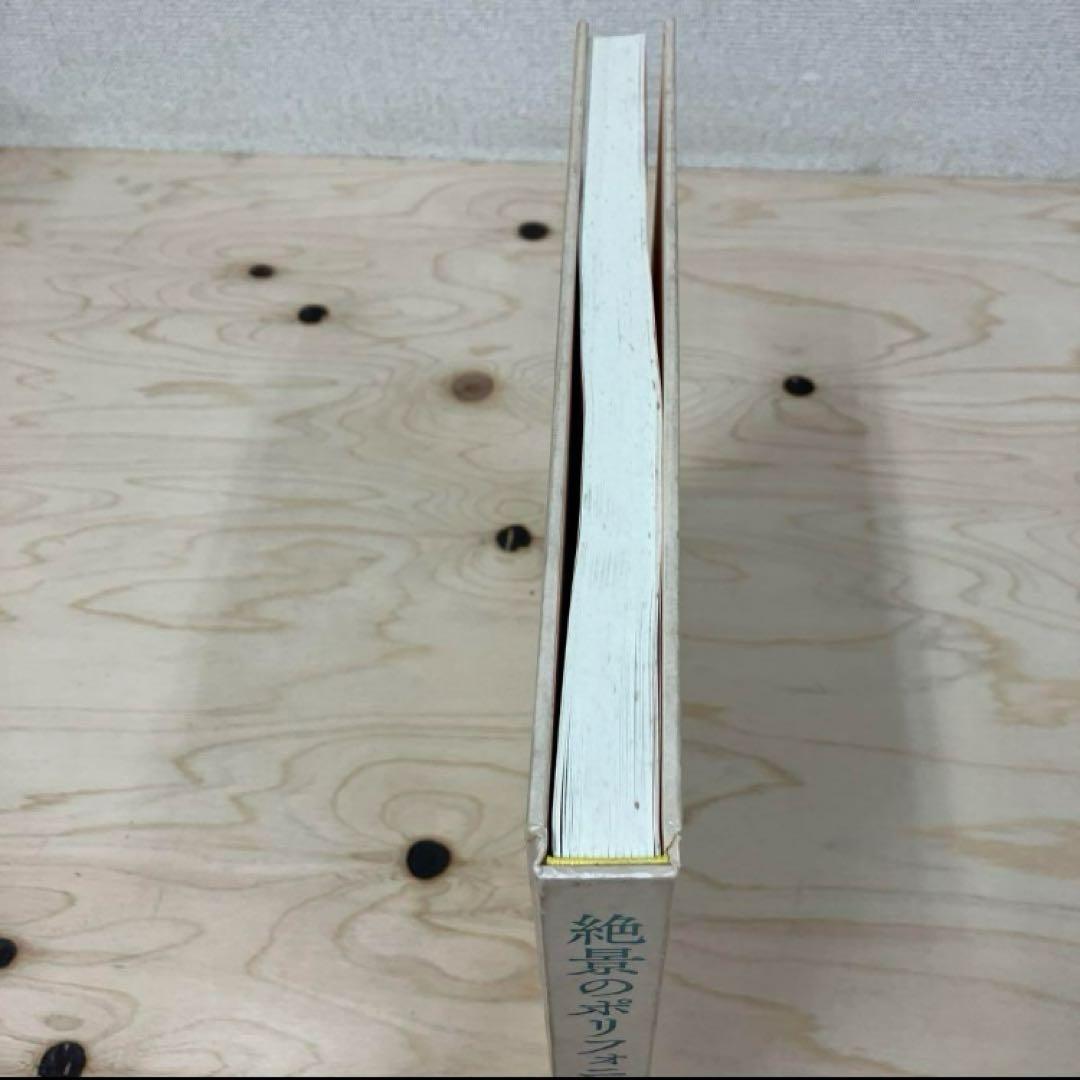 arakakiさま専用okinawan portraitsと絶景のポリフォニー