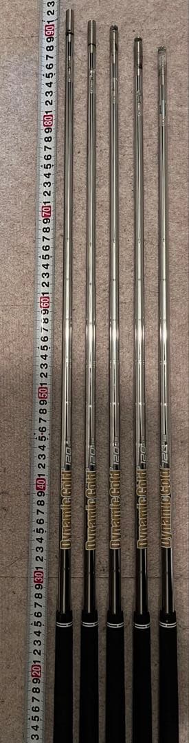 Dynamic Gold 120 S200 dg120 s200 5本セット
