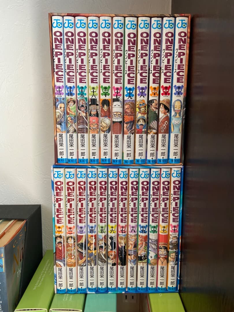 青年漫画 One Piece Collection of Books