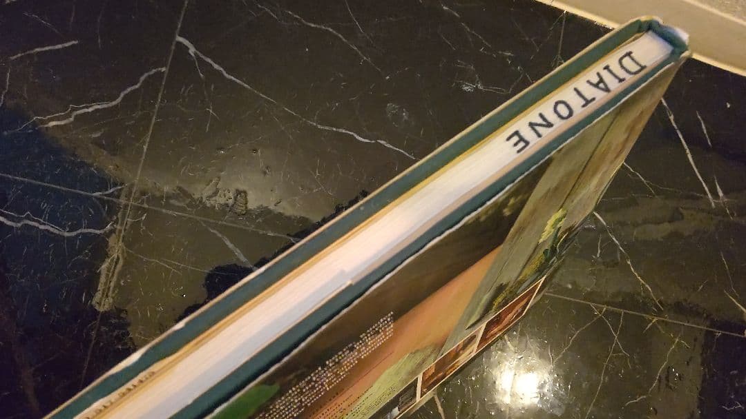 デザイン系の洋書　FOUND OBJECTS ライフスタイル　写真集　英語