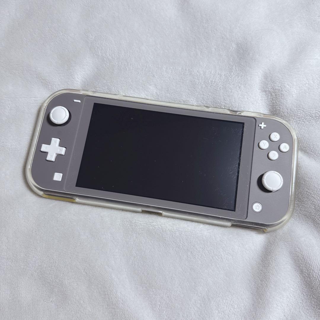 美品 Nintendo Switch Lite グレー 純正充電器 ケース付き