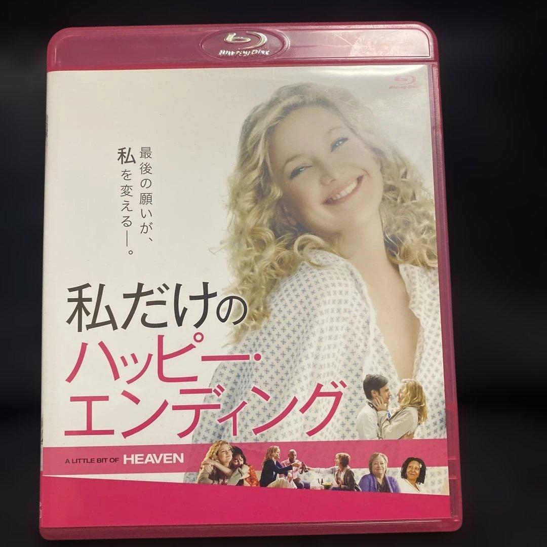 私だけのハッピー・エンディング('11米)