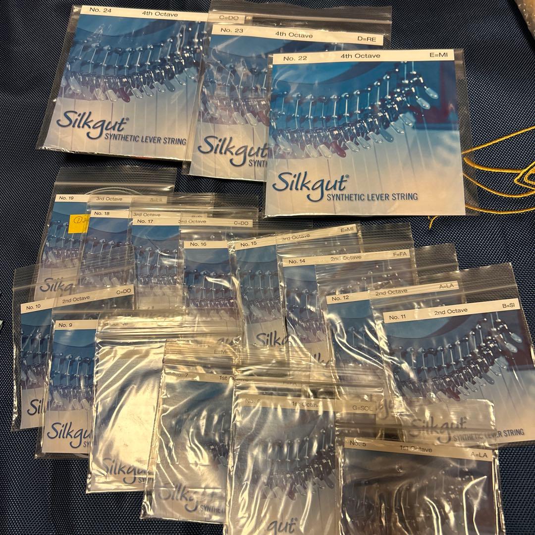 ♪Salvi レバーハープ34弦♪Mia(３年)総額44万相当ソフトケース付