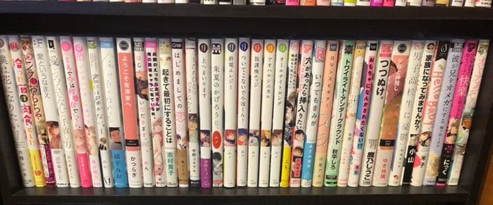 bl本まとめ売り