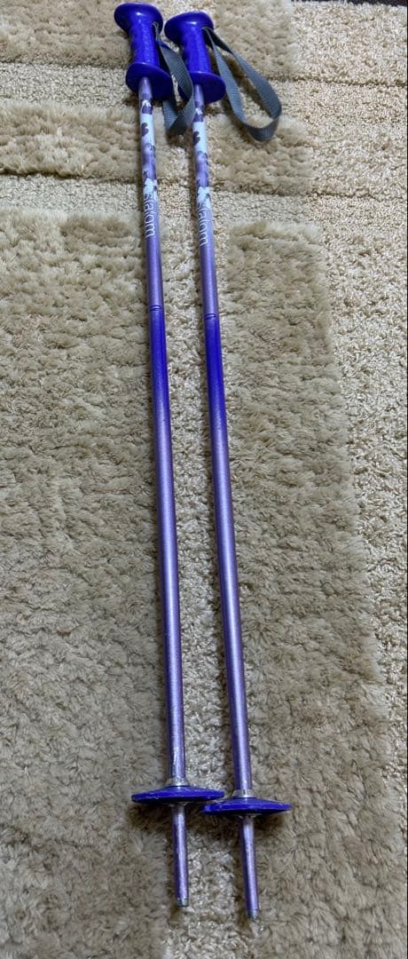 子供用　BLIZZARD Pivot スキー 板 110cm ストック85cm