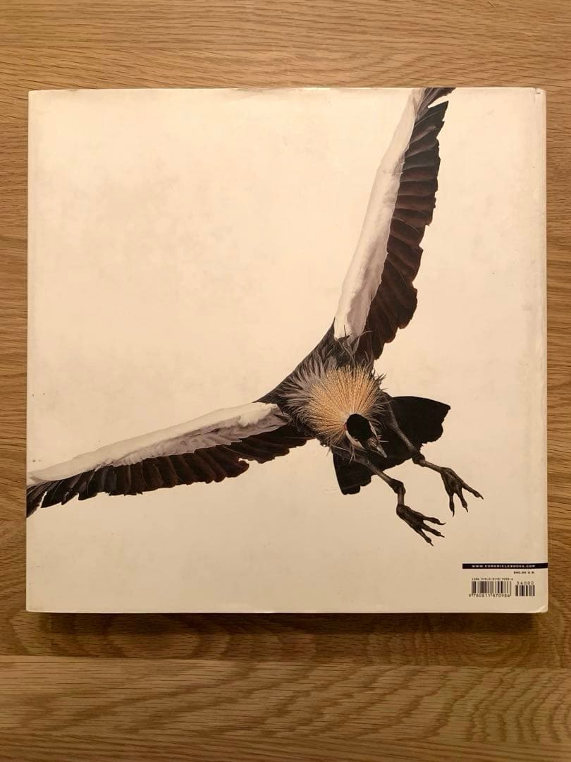 アート・デザイン・音楽 Bird _ Andrew Zuckerman