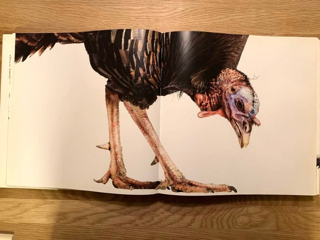 アート・デザイン・音楽 Bird _ Andrew Zuckerman