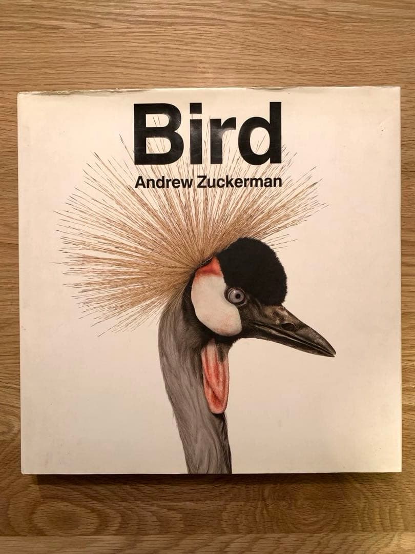 アート・デザイン・音楽 Bird _ Andrew Zuckerman