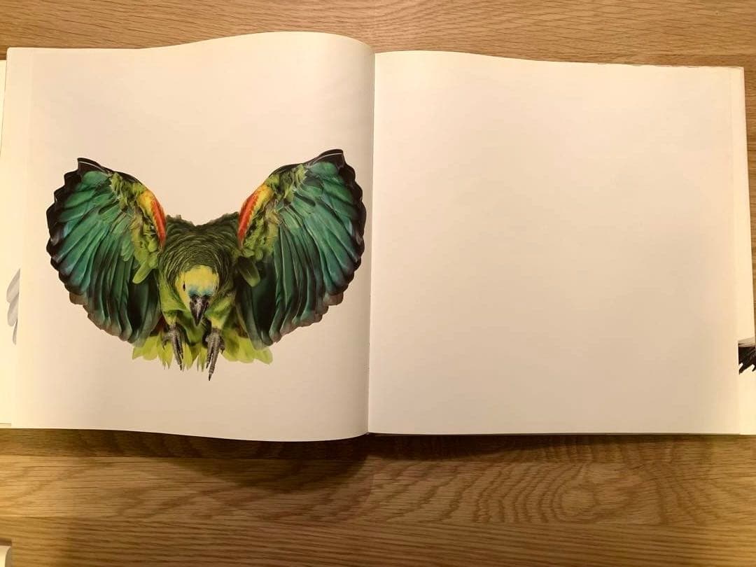 アート・デザイン・音楽 Bird _ Andrew Zuckerman