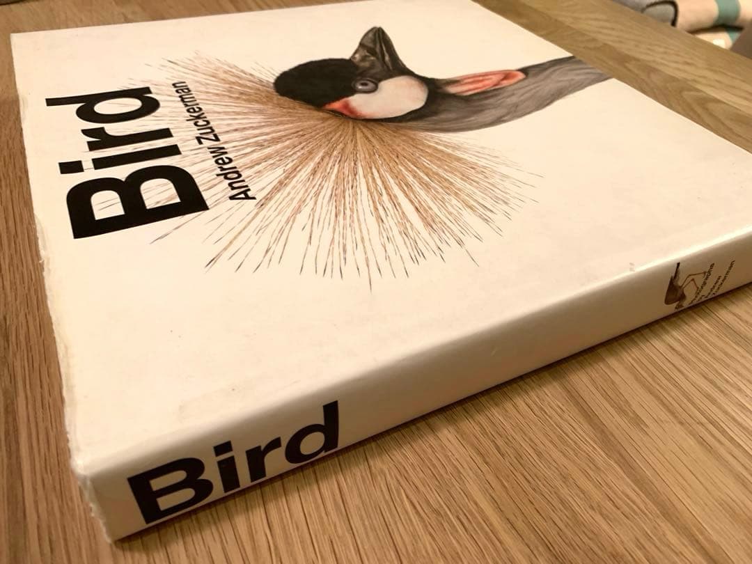 アート・デザイン・音楽 Bird _ Andrew Zuckerman