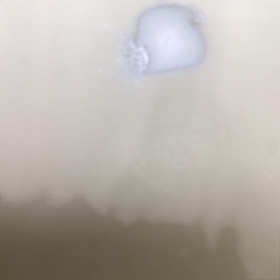 京焼雲錦菱形蓋物　　1客　新品未使用　平安松斎作