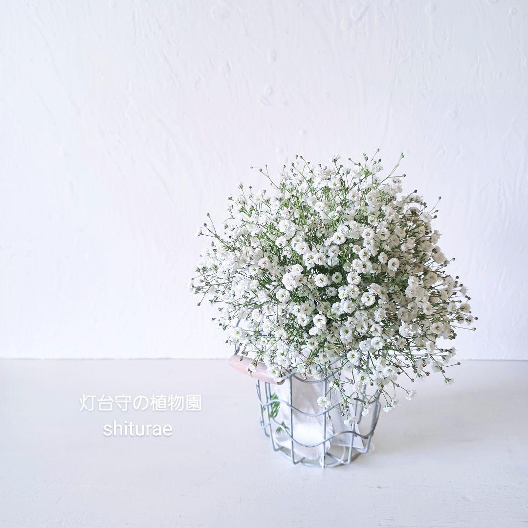 mahi様 ドライフラワー リース【order page】