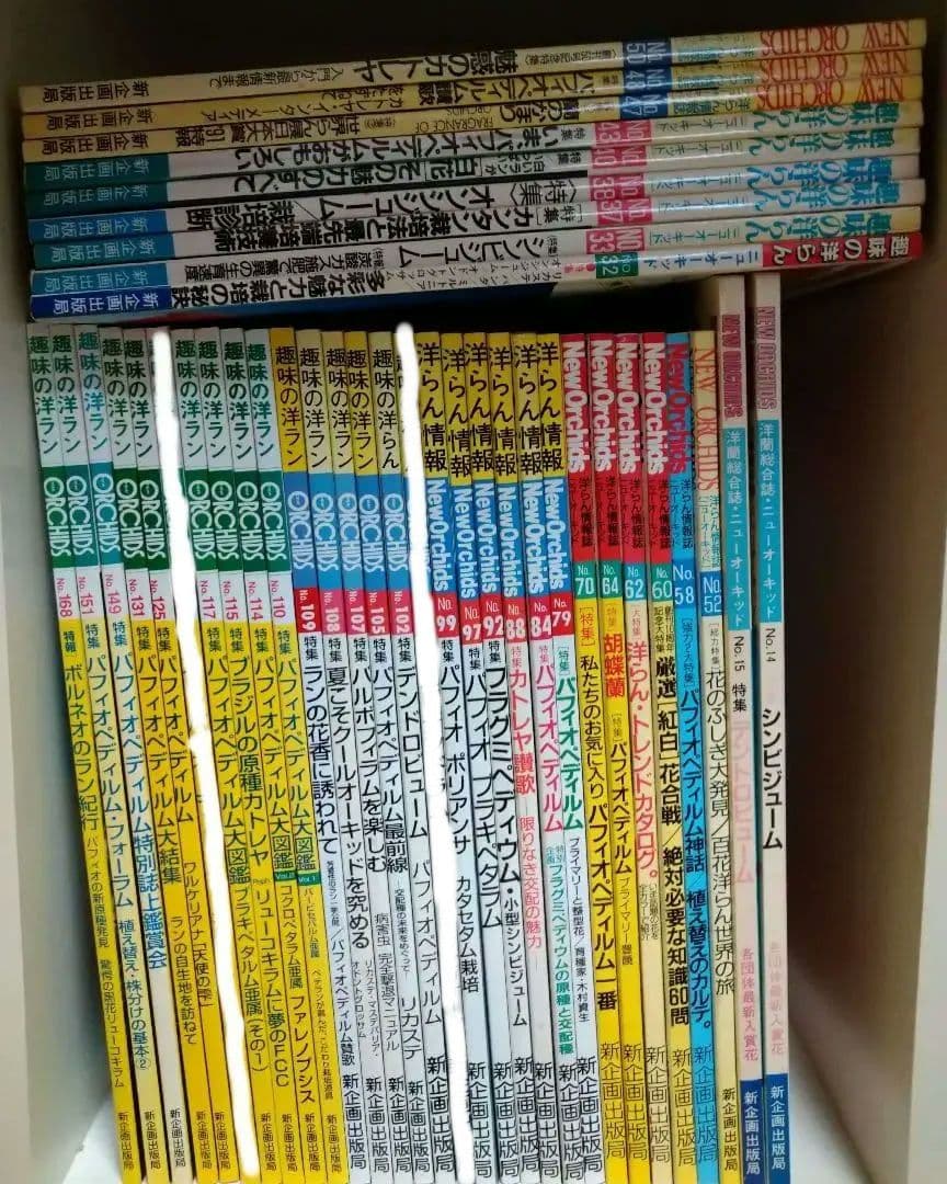 ニューオーキッド　洋蘭雑誌　37冊