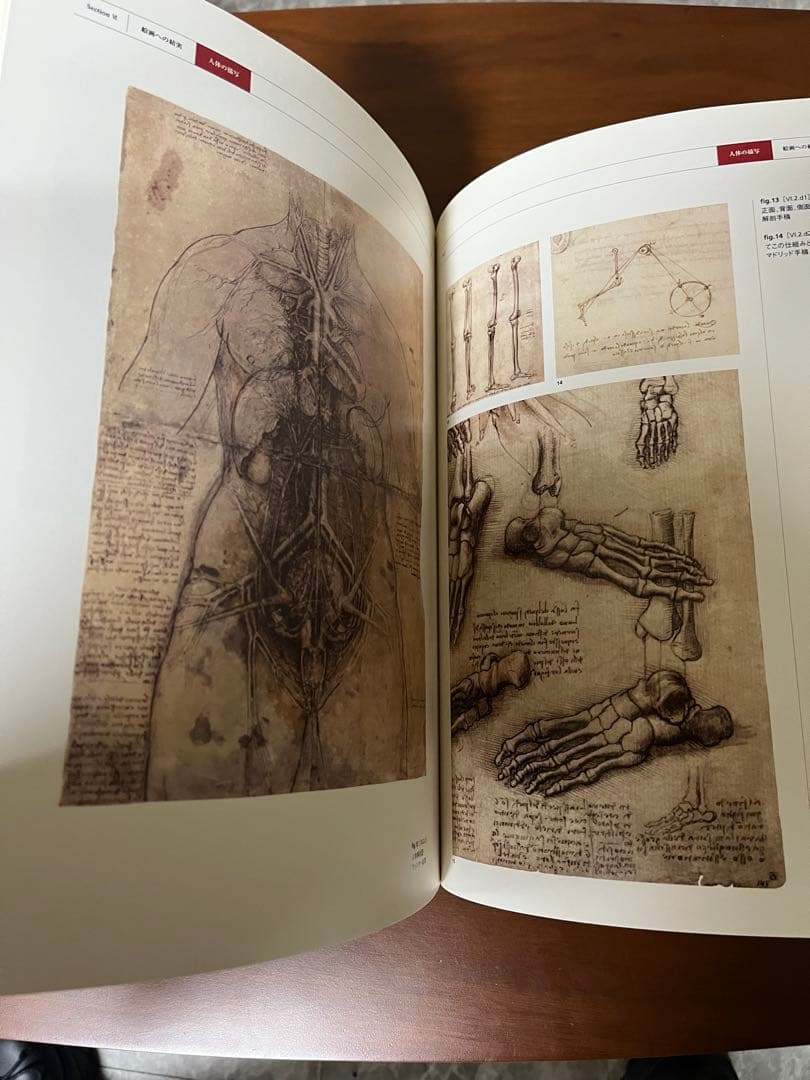 THE MIND OF LEONARDO ダ.ヴィンチの世界.保存版.美品