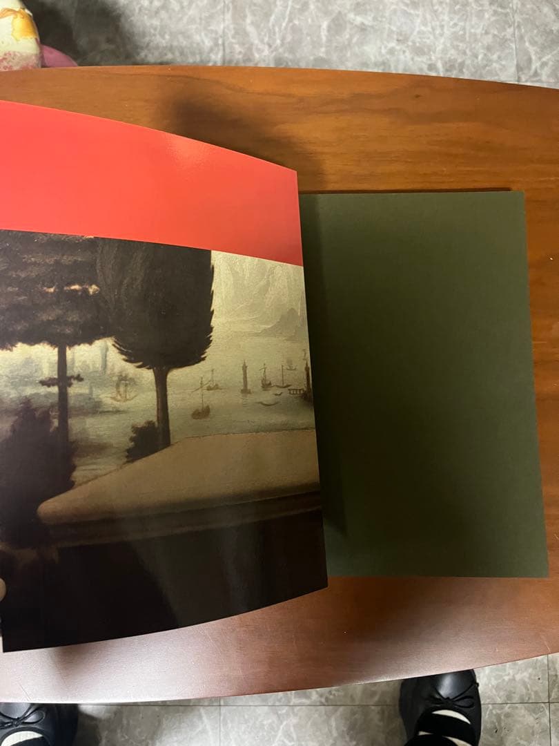 THE MIND OF LEONARDO ダ.ヴィンチの世界.保存版.美品