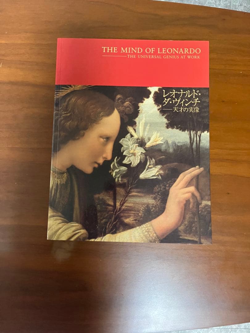 THE MIND OF LEONARDO ダ.ヴィンチの世界.保存版.美品