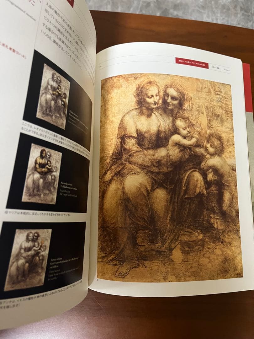 THE MIND OF LEONARDO ダ.ヴィンチの世界.保存版.美品