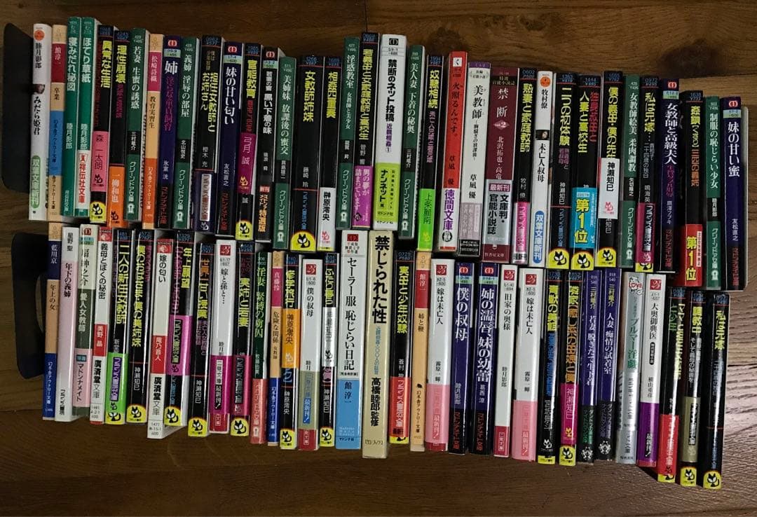 官能小説まとめ売り③フランス書院その他あり