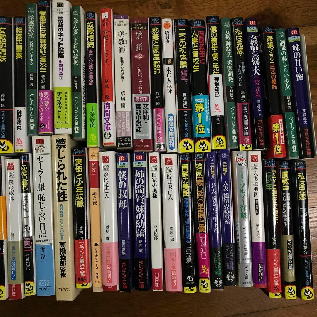 官能小説まとめ売り③フランス書院その他あり