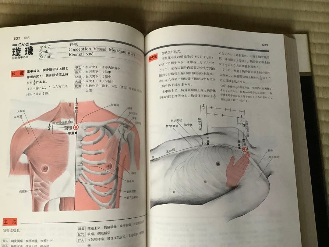 図説 東洋医学 経穴編　昭和60年出版　初版