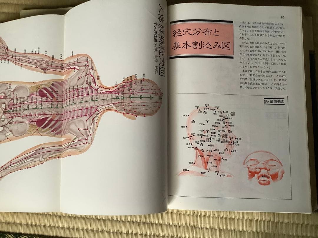 図説 東洋医学 経穴編　昭和60年出版　初版