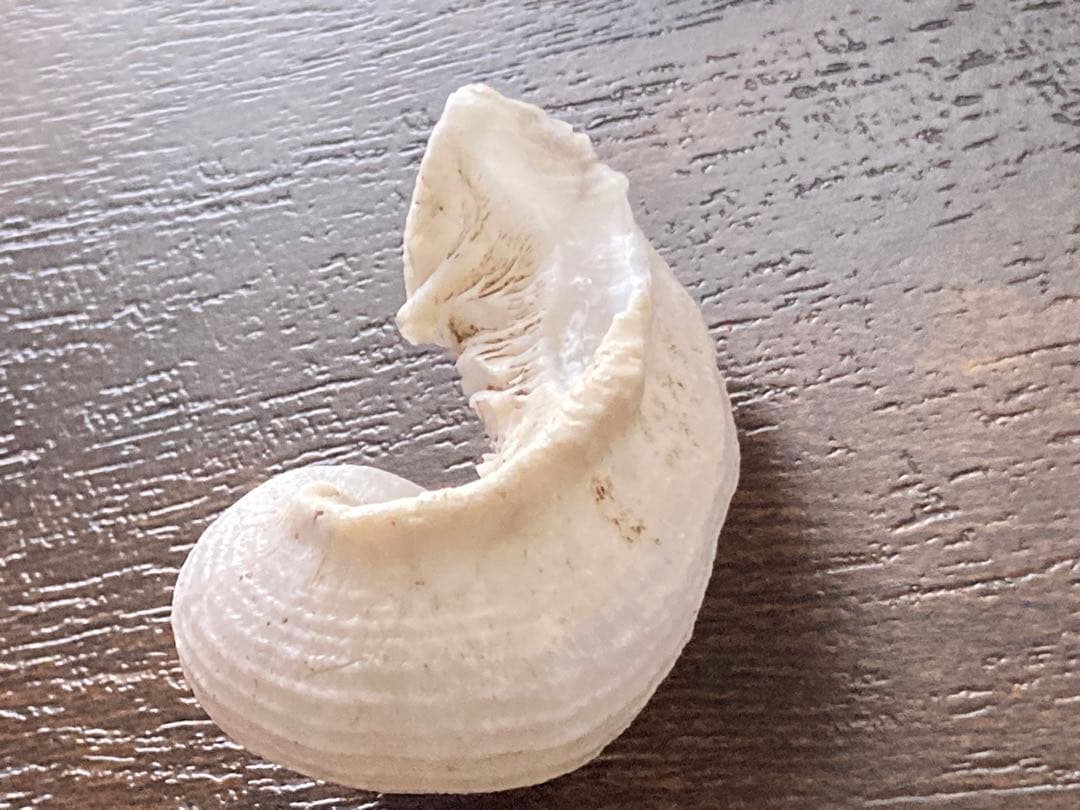 ケオン　無研磨　ミラクルケオン　天然　ご祈祷浄化済み