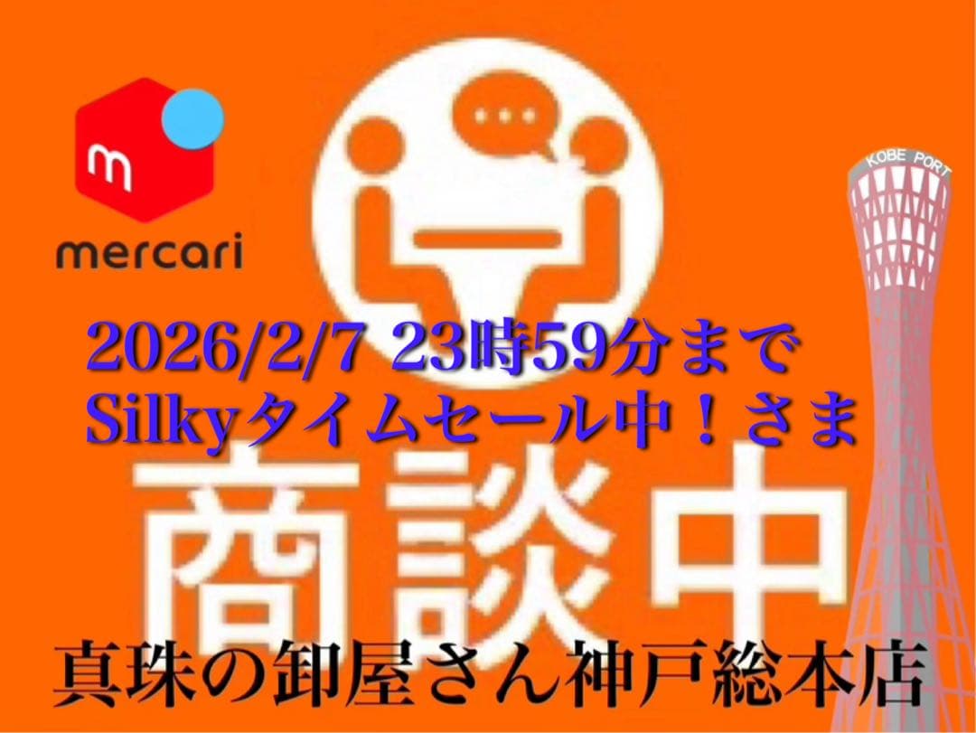 【新品・百貨店商品・神戸総本店】S-719Silky　タイムさま　商談中ページ