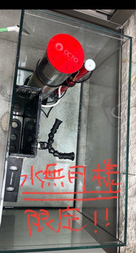 ○水無月さん限定○レッドシーリーファー２５０　ホワイト　水槽のみとサンプセット