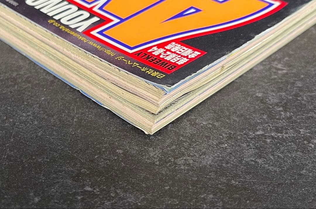 ●ヤングアニマル 1999年 22号 ●ベルセルク 第151話 三浦建太郎