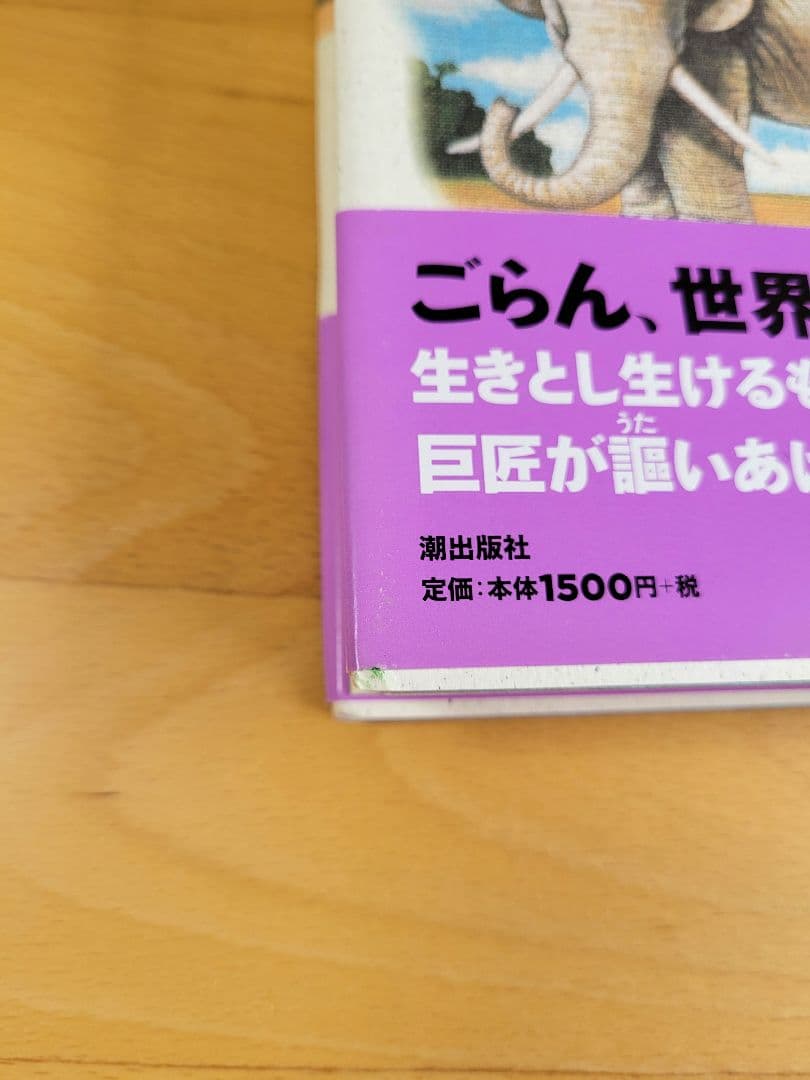 【美品】ブッダ 手塚治虫　愛蔵版　全巻帯付き　箱付き