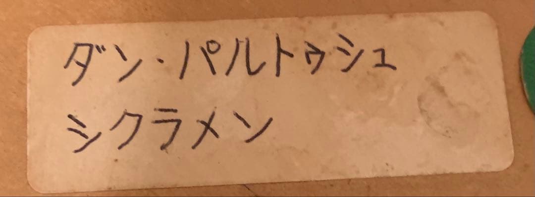 に*の様 希少　大判リトグラフ　ダン・パルトゥシュ　「シクラメン」