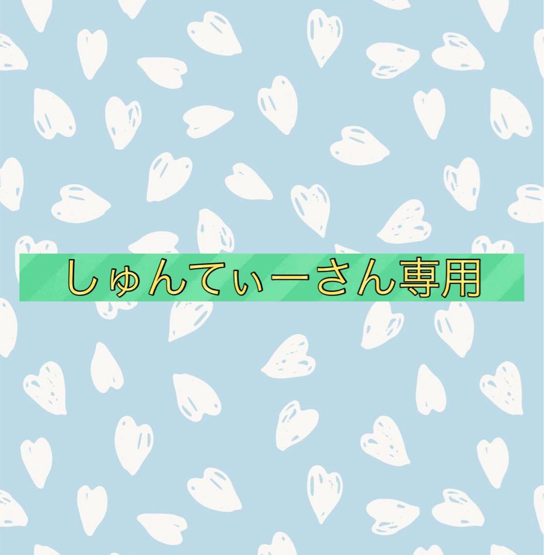 しゅんてぃーさん専用