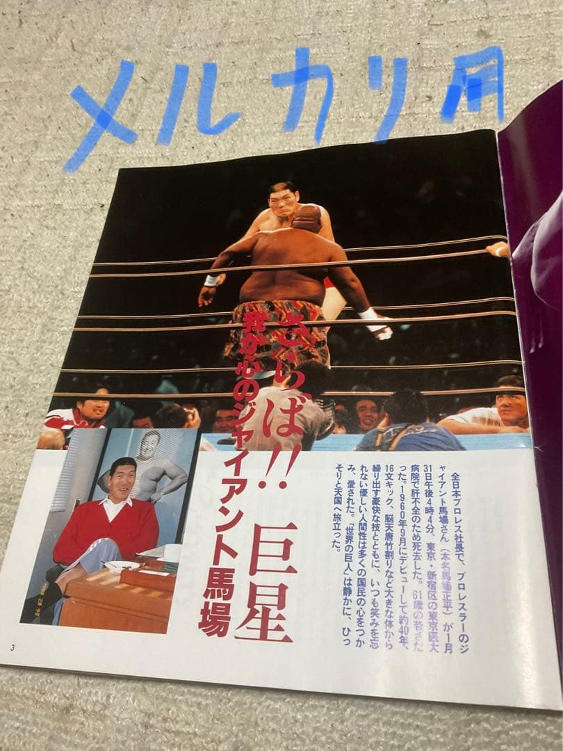 我が心のジャイアント馬場・完全保存版／日刊スポーツグラフ。【66頁　美品】