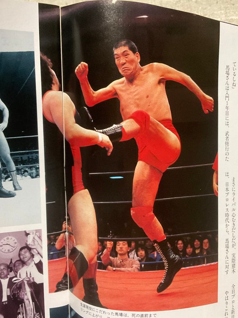 我が心のジャイアント馬場・完全保存版／日刊スポーツグラフ。【66頁　美品】