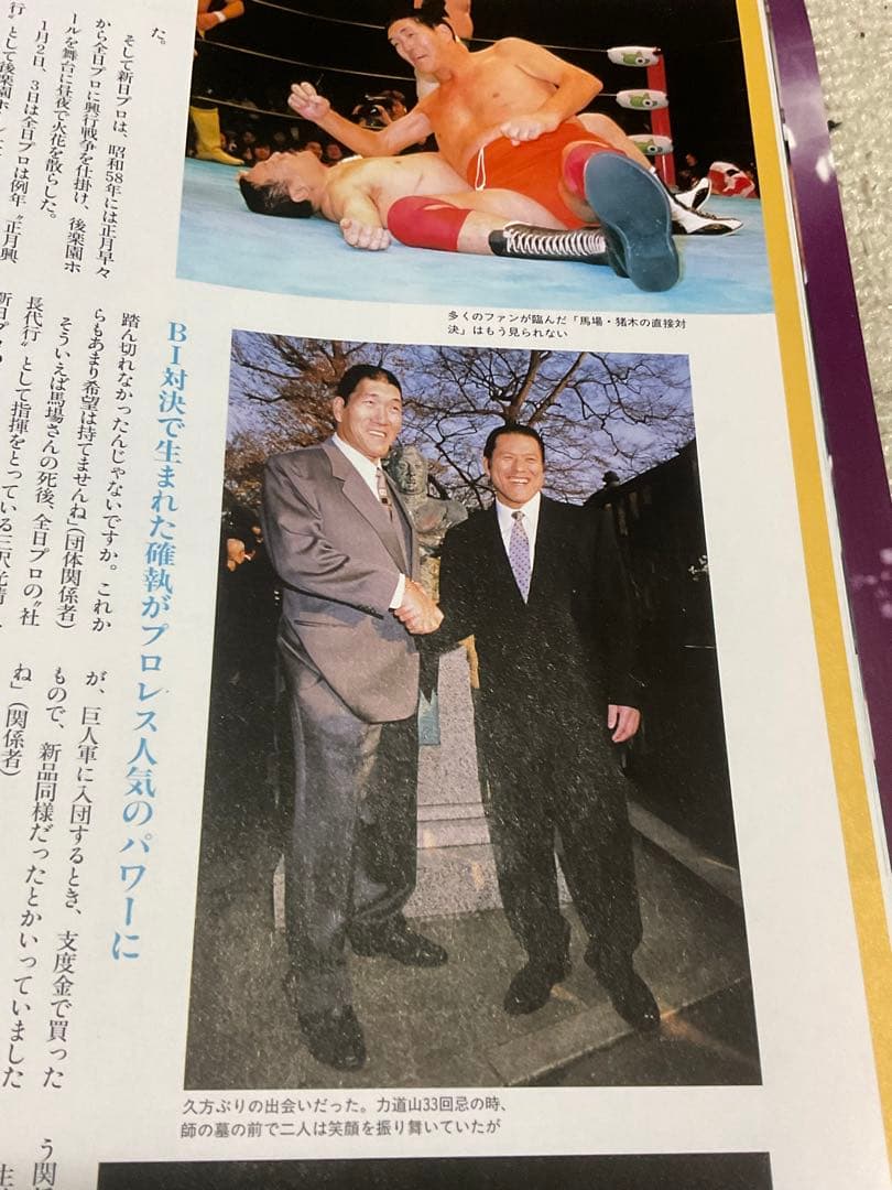 我が心のジャイアント馬場・完全保存版／日刊スポーツグラフ。【66頁　美品】