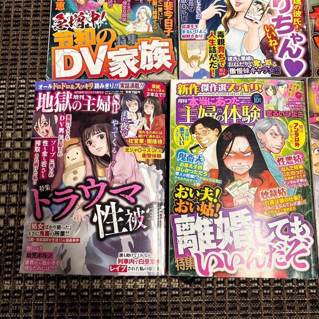 レディースコミック　レディコミ　11冊セット