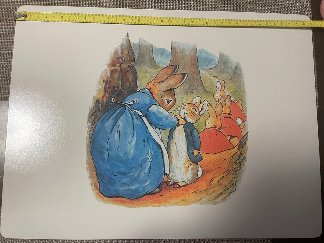 レディクレア　ピーターラビット　ランチョンマット　4枚　コースタ 4枚　セット