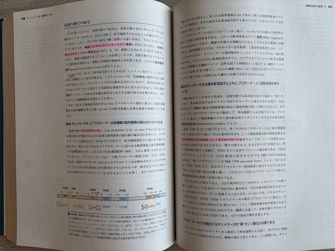 ワトソン　遺伝子の分子生物学　第7版