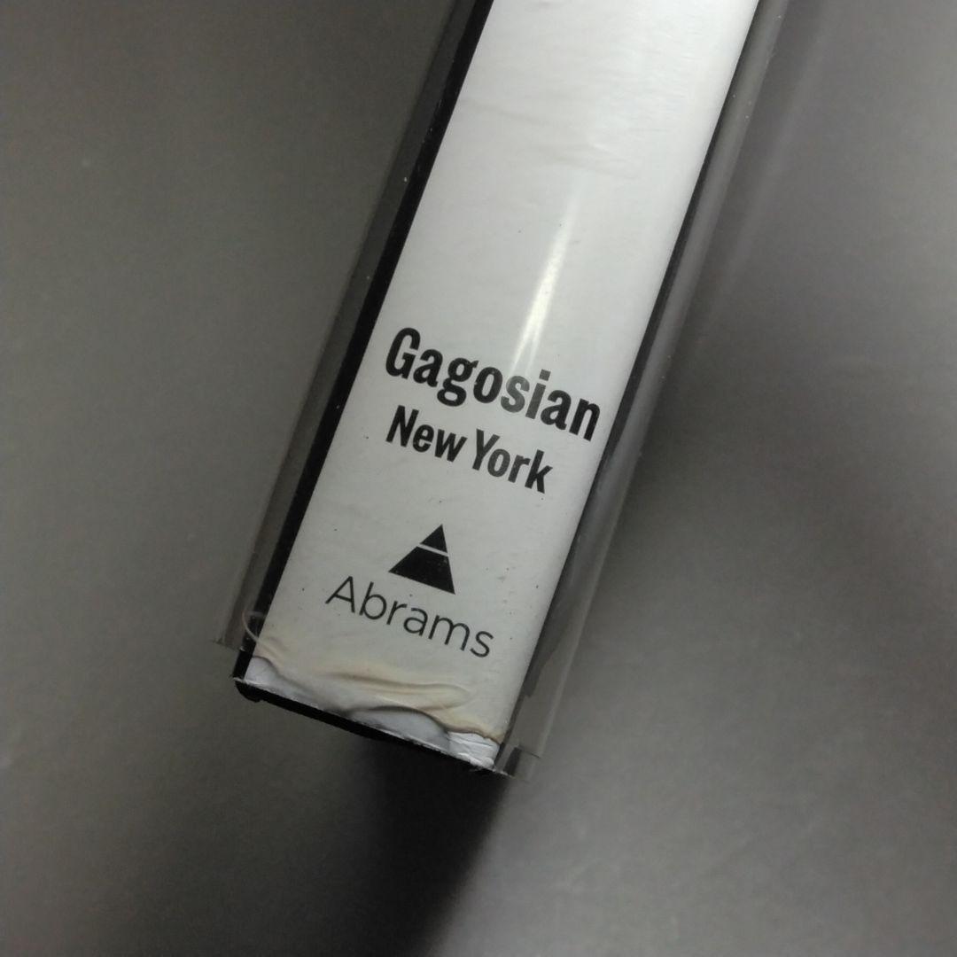 Avedon : Murals & Portraits アヴェドン 写真集