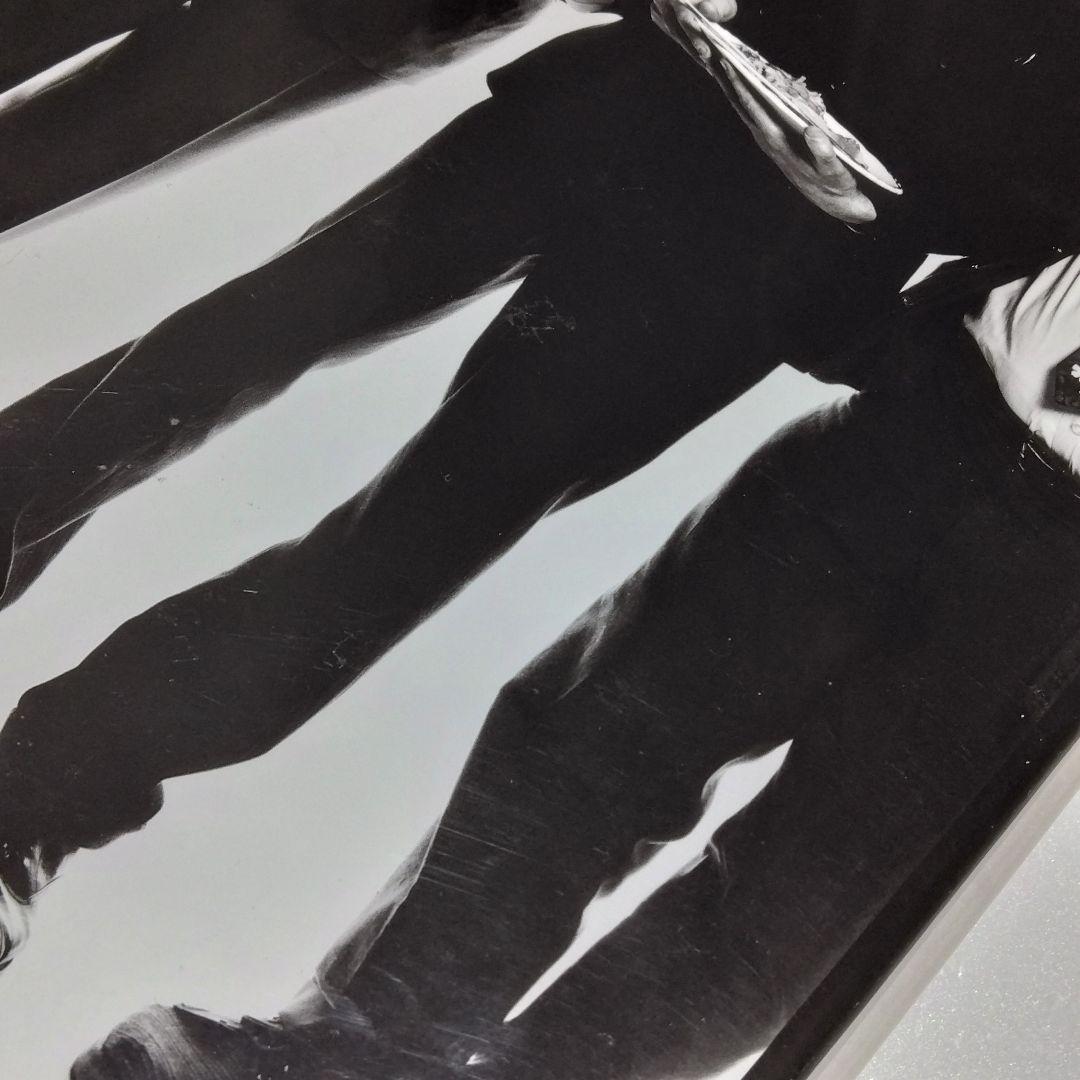 Avedon : Murals & Portraits アヴェドン 写真集