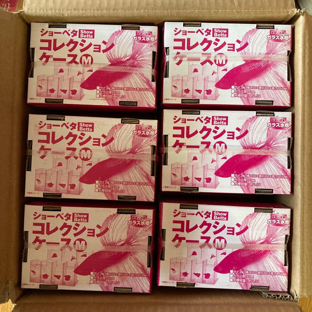 Suisaku ショーベタ コレクションケース M 12個