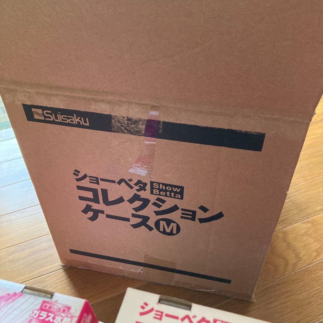 Suisaku ショーベタ コレクションケース M 12個