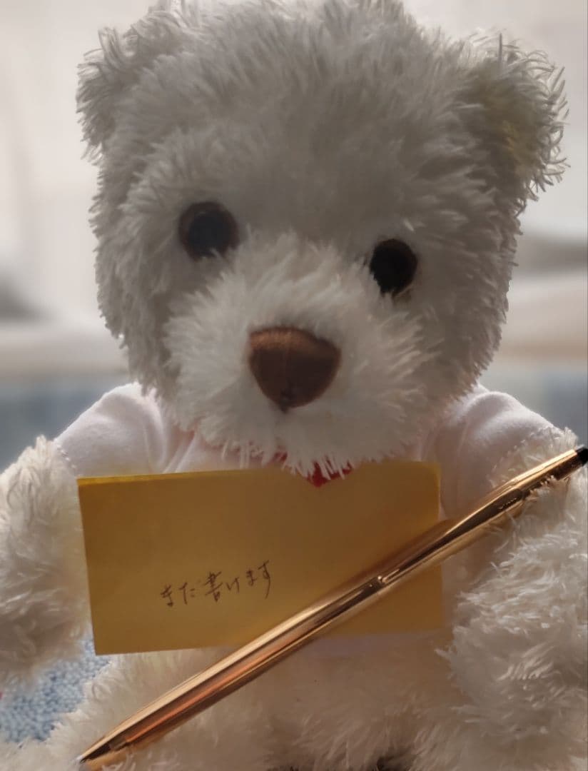 ✨CROSS 14KT 旧ロゴ ボールペン✨